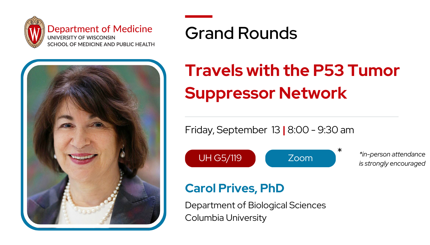 Travels with the p53 Tumor Suppressor Network